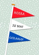 geslaagd kaart nederlandse vlaggetjes
